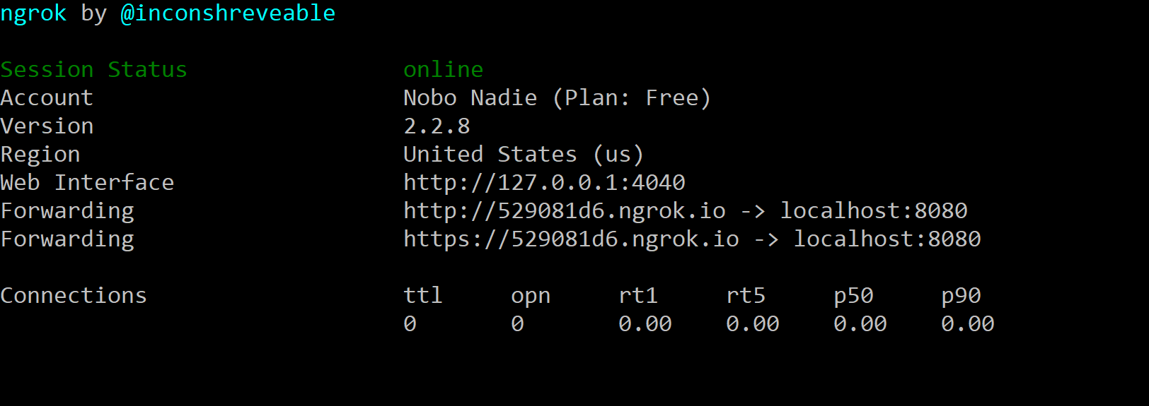 image ngrok setup
