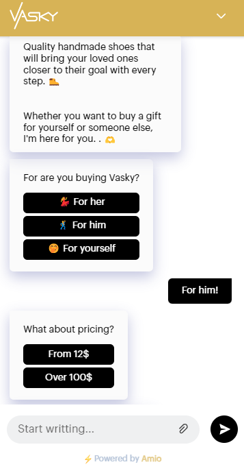 Image - Vasky Chatbot from Amio